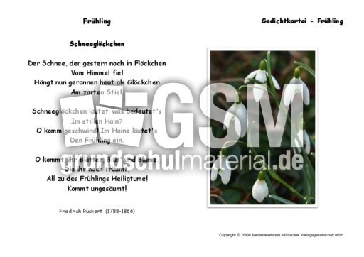 Schneegloeckchen-Rueckert.pdf